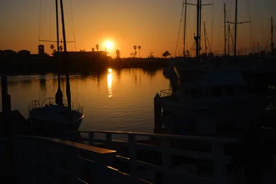 DSC_7307 (Large).JPG